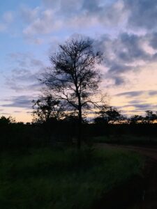 aften mindfulness