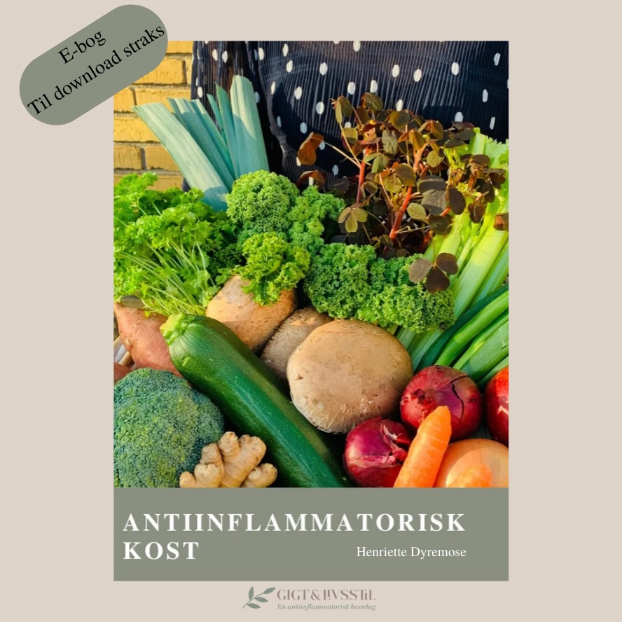 ebog kostguide