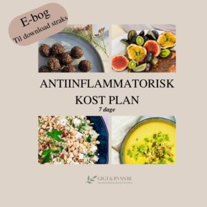 kostplan