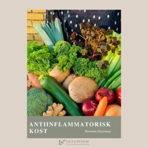 kostguide