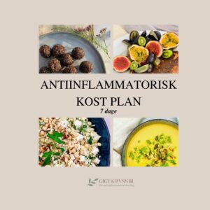 kostplan
