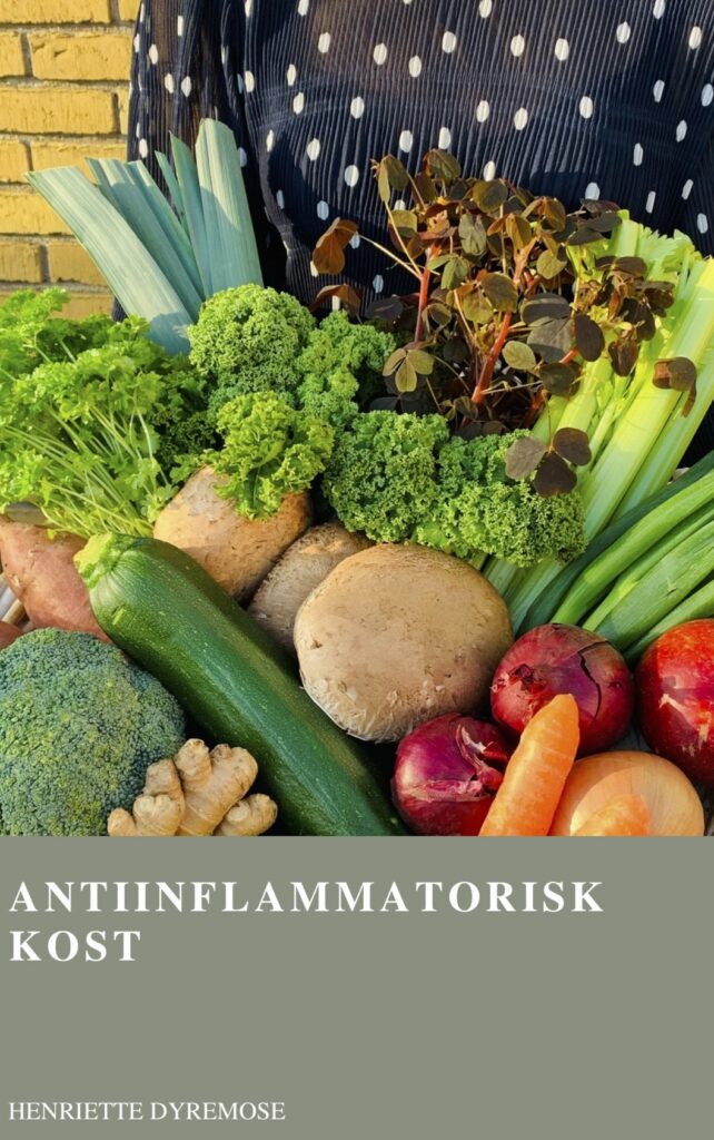 antiinflammatorisk kostguide